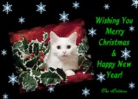 /album/pet-portraits/christmas-card2-jpg/
